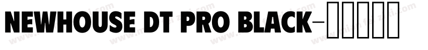 Newhouse DT Pro Black字体转换